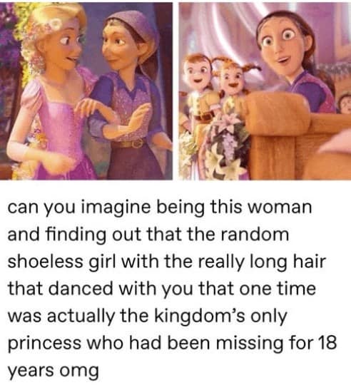 disney memes. can you imagine being this woman and finding out that the random shoeless girl with the really long hair that danced with you that one time was actually the kingdom's only princess who had been missing for 18 years omg