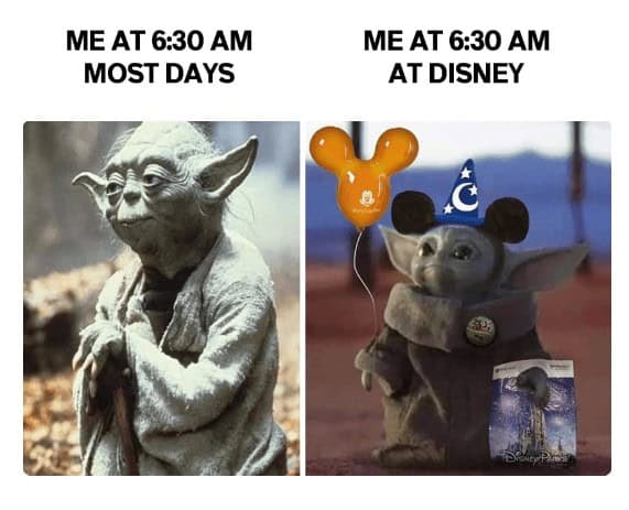disney memes. ME AT 6:30 AM MOST DAYS ME AT 6:30 AM AT DISNEY