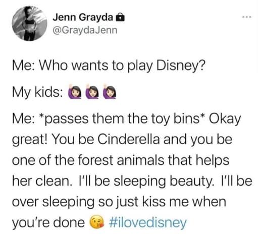 disney memes. Me: Who wants to play Disney? My kids: Me: *passes them the toy bins* Okay great! You be Cinderella and you be one of the forest animals that helps her clean. I'll be sleeping beauty. I'll be over sleeping so just kiss me when you're done