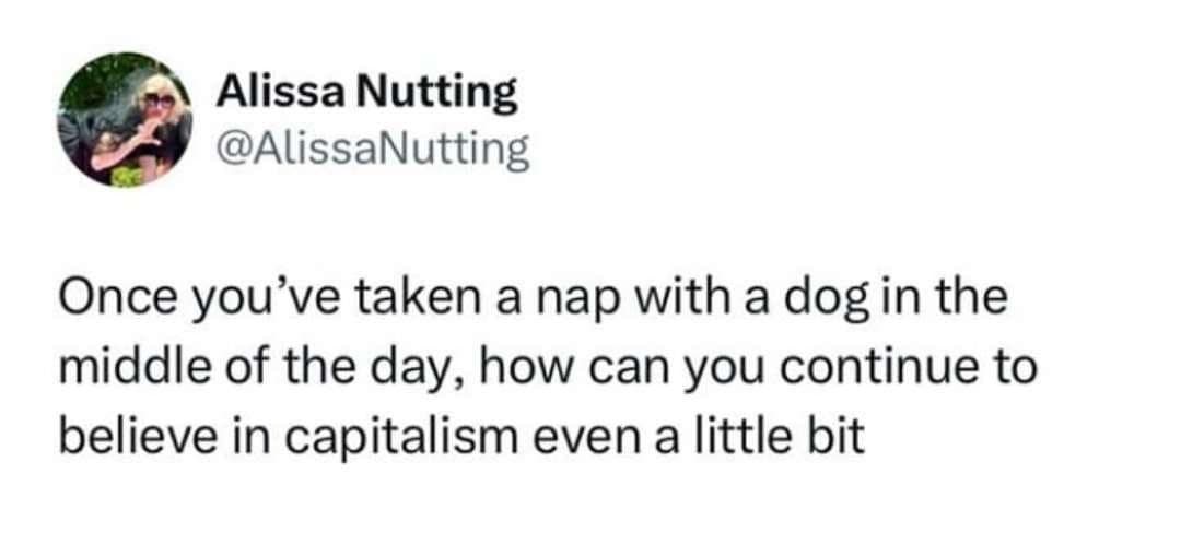 dog memes, doggo memes, funny dog memes, hilarious dog memes, best dog memes, canine memes, pup memes, amusing dog memes