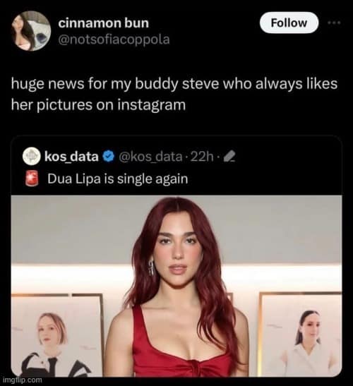 Funny Dua Lipa Content, Hilarious Fan-Made Memes, New Dua Lipa Album Memes, Pop Star Jokes, Fan Art Tributes, Album Release Celebration