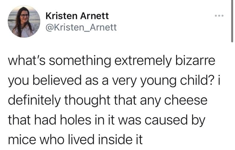 what's something extremely bizarre you believed as a very young child? i definitely thought that any cheese that had holes in it was caused by mice who lived inside it