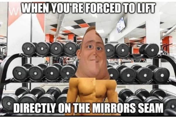 exercise memes. WHEN YOU'RE FORCED TO LIFT DIRECTLY ON THE MIRRORS SEAM