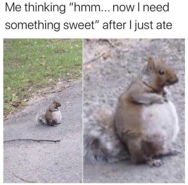 exercise memes. Me thinking "hmm... now I need something sweet" after I just ate