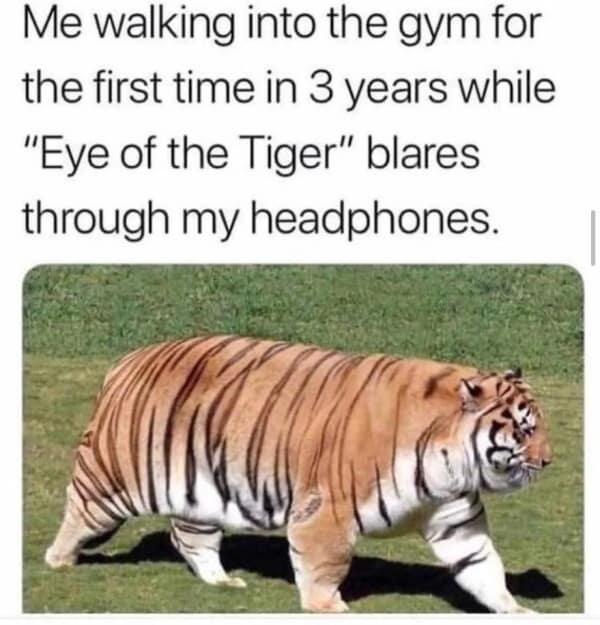 exercise memes. Me walking into the gym for the first time in 3 years while "Eye of the Tiger" blares through my headphones.
