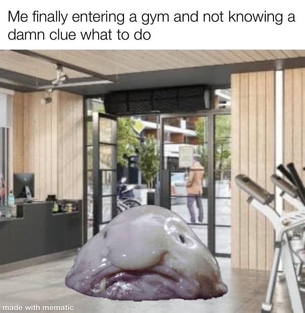 exercise memes. Me finally entering a gym and not knowing a damn clue what to do