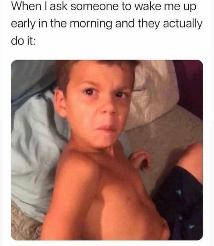 family memes, Funny family life jokes, dysfunctional relative humor, childhood memory memes, Family chaos parodies, hilarious kinship content, laughter through the generations