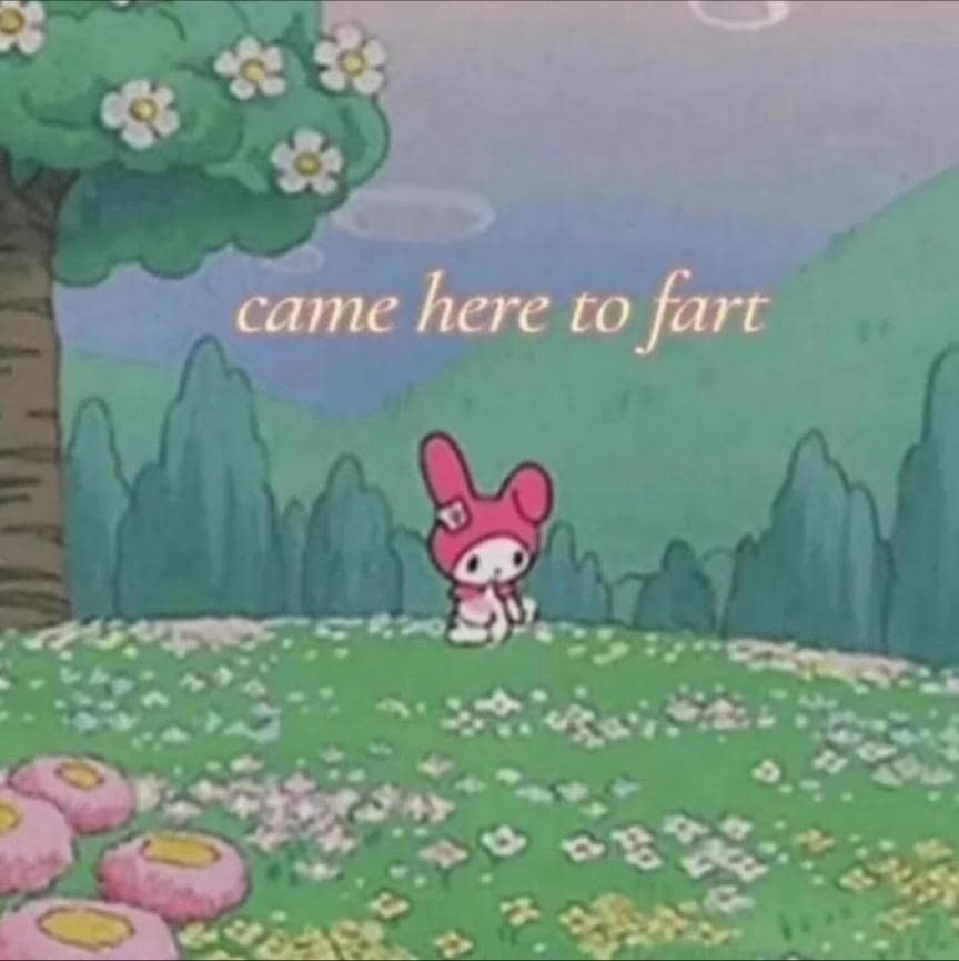 fart memes. came here to fart