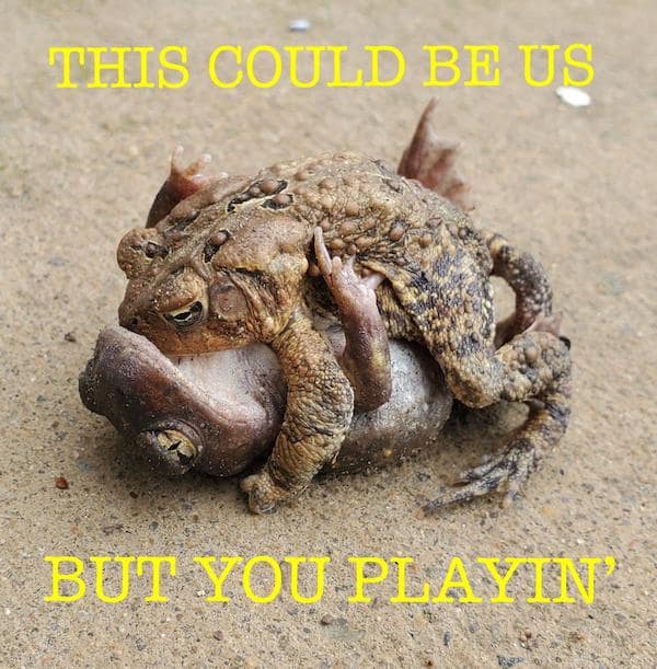 flirty memes. THIS COULD BE US BUT YOU PLAYIN