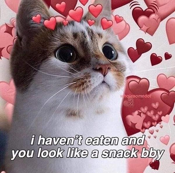 flirty memes. i haven't eaten and you look like a snack bby