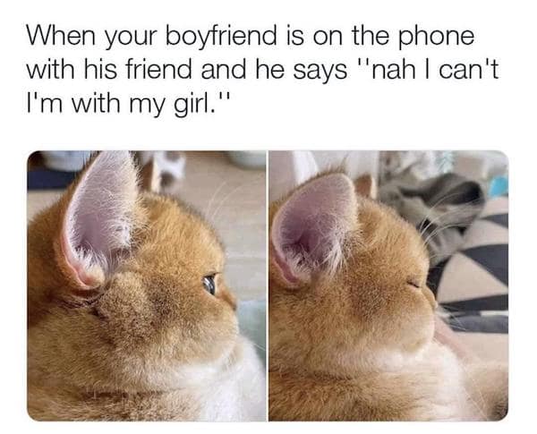 flirty memes. When your boyfriend is on the phone with his friend and he says "nah I can't I'm with my girl."