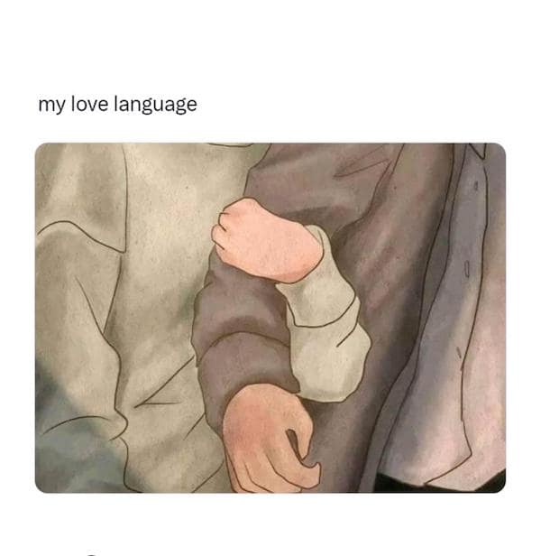 flirty memes. my love language