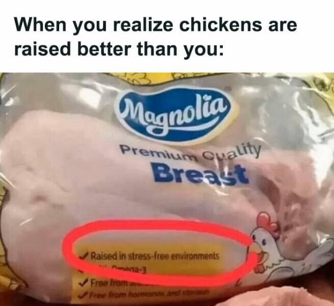 food memes, foodie memes, funny food memes, cooking memes, relatable memes, culinary comedy, delicious humor, hanger memes