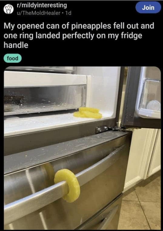 funniest reddit posts. My opened can of pineapples fell out and one ring landed perfectly on my fridge handle