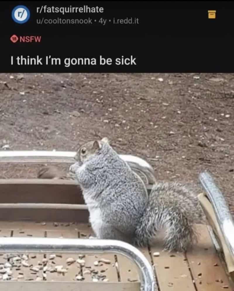 funniest reddit posts. I think I'm gonna be sick
