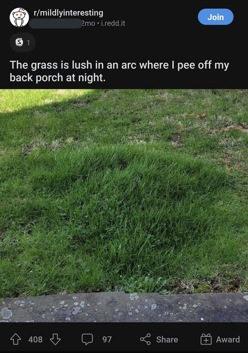 funniest reddit posts. The grass is lush in an arc where I pee off my back porch at night.