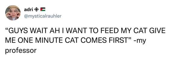 funny college professors, Hilarious College Moments, Epic Professor Fails, Professors Who Make Learning Fun, Side-Splitting Professors, Comedy in the Classroom, Unforgettable Lectures