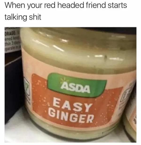 funny dumb memes. When your red headed friend starts talking
