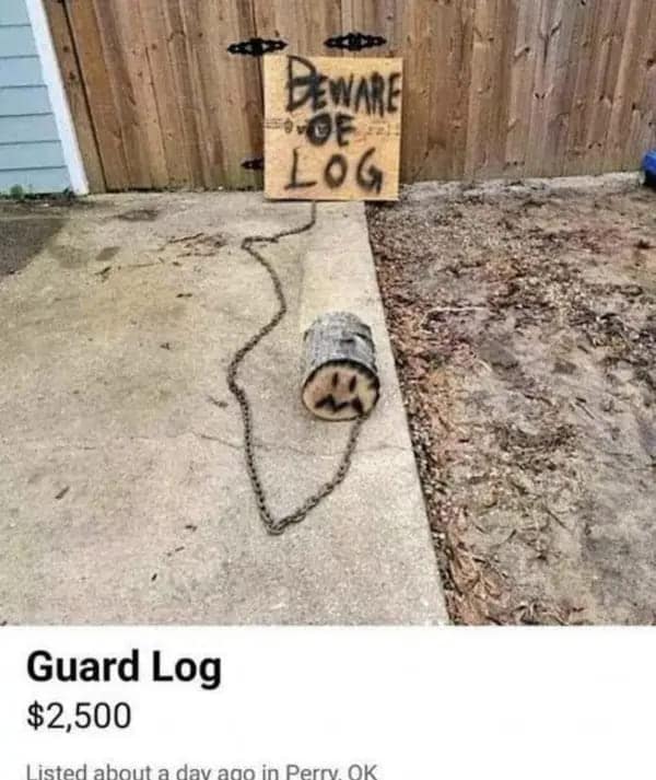 funny dumb memes. Guard Log