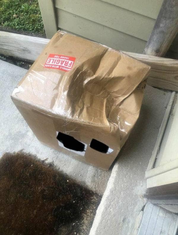 funny fails, epic fails, Funny DIY disasters, fail compilation, Human error humor, Compilation of blunders, Clumsy antics laughter