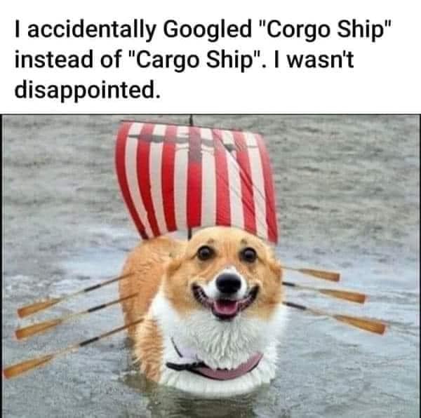 I accidentally Googled "Corgo Ship" instead of "Cargo Ship". I wasn't disappointed.
