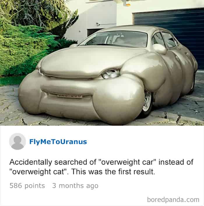 Accidentally searched of "overweight car" instead of "overweight cat". This was the first result.