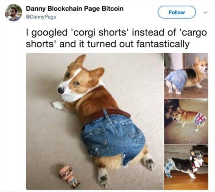 I googled 'corgi shorts' instead of 'cargo shorts' and it turned out fantastically