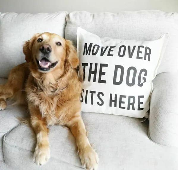 MOVE OVER THE DOB SITS HERE