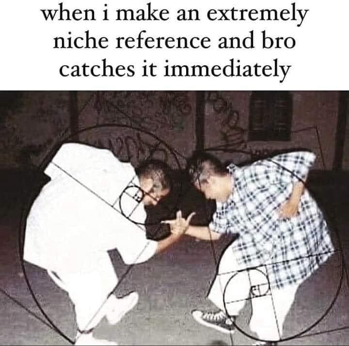 funny memes. when i make an extremely niche reference and bro catches it immediately