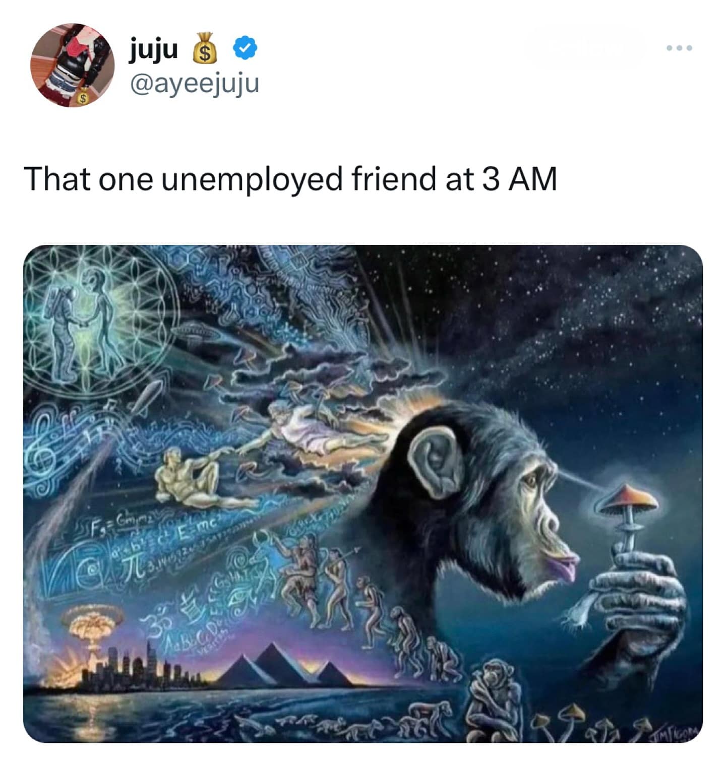 funny memes. That one unemployed friend at 3 AM