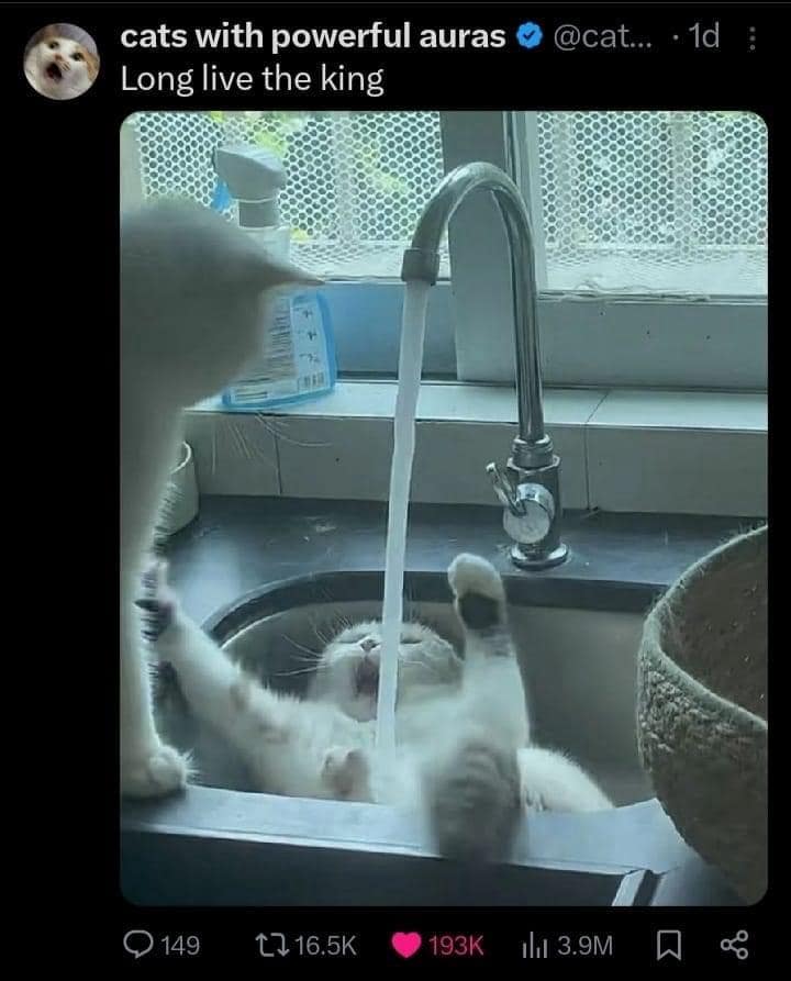 funny memes.