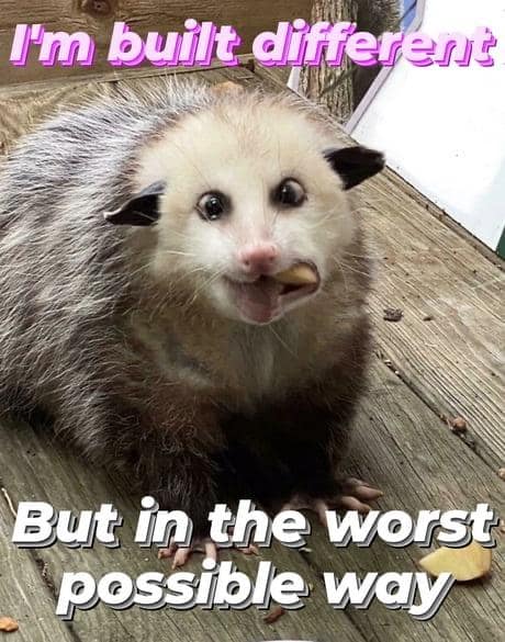 funny memes. I'm built different But in the worst possible way