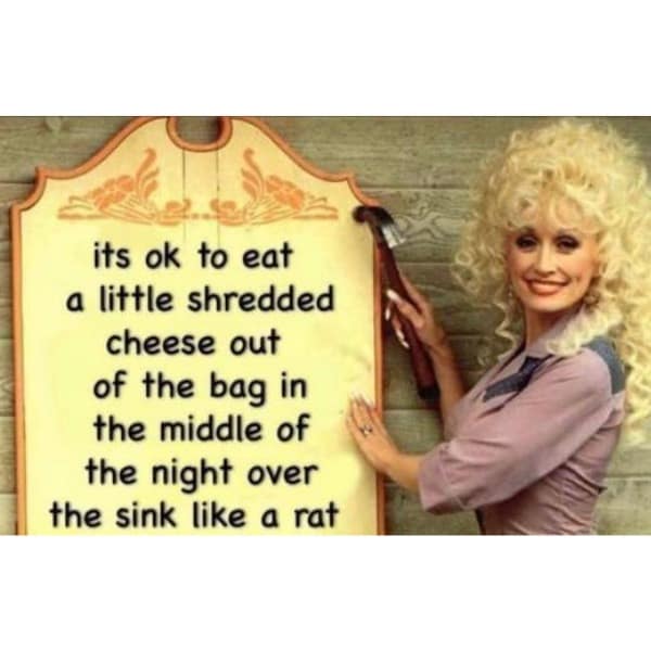 funny memes. its ok to eat a little shredded cheese out of the bag in the middle of the night over the sink like a rat