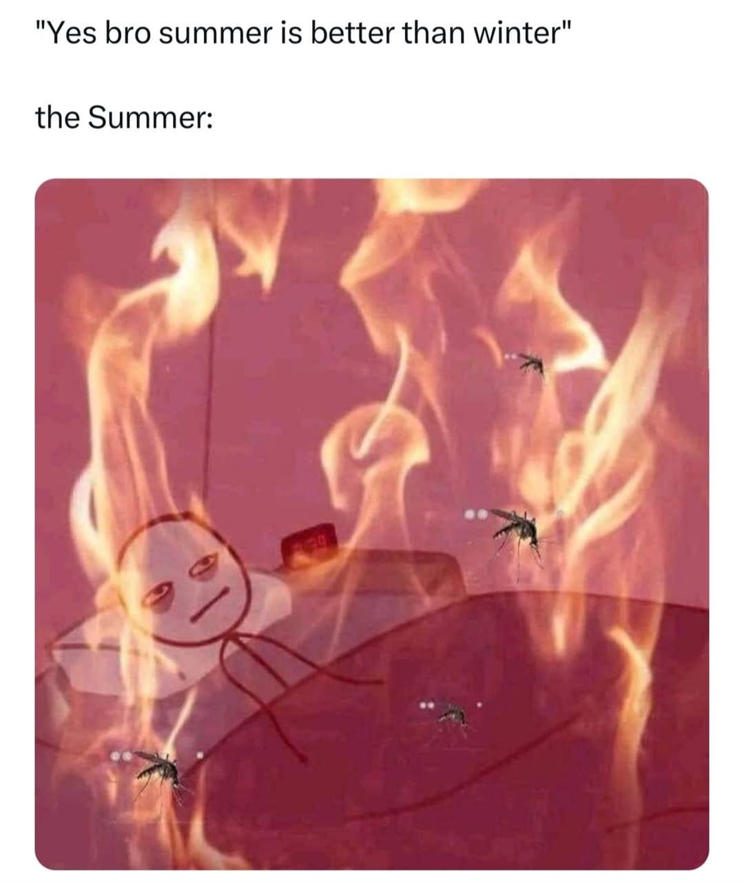 funny memes. "Yes bro summer is better than winter" the Summer: