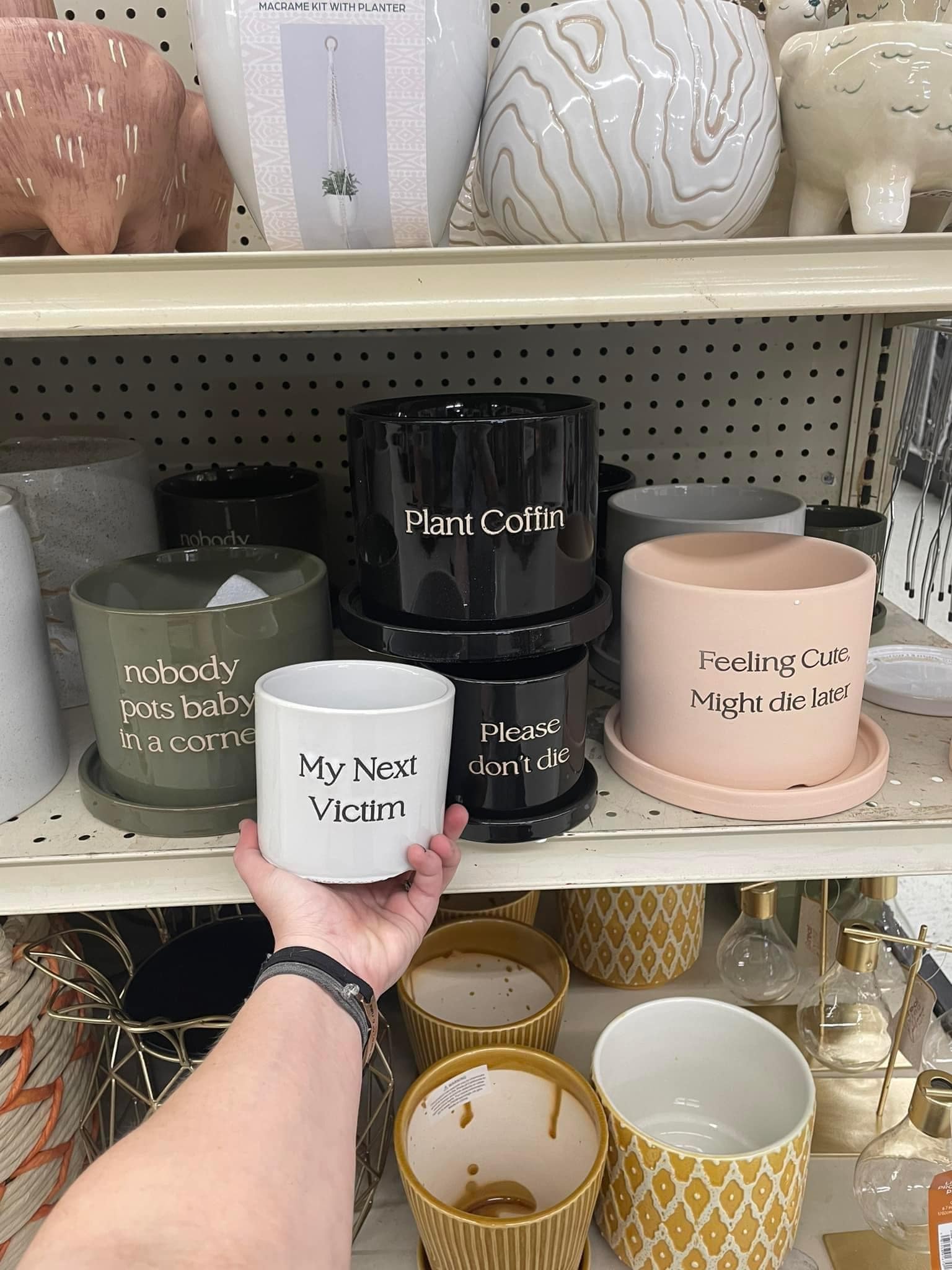 funny memes.