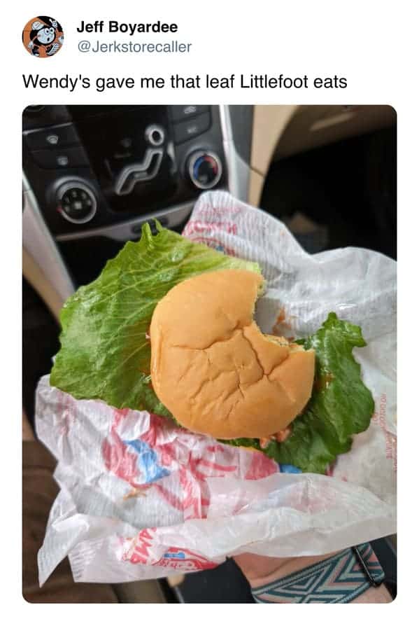 funny memes. Wendy's gave me that leaf Littlefoot eats