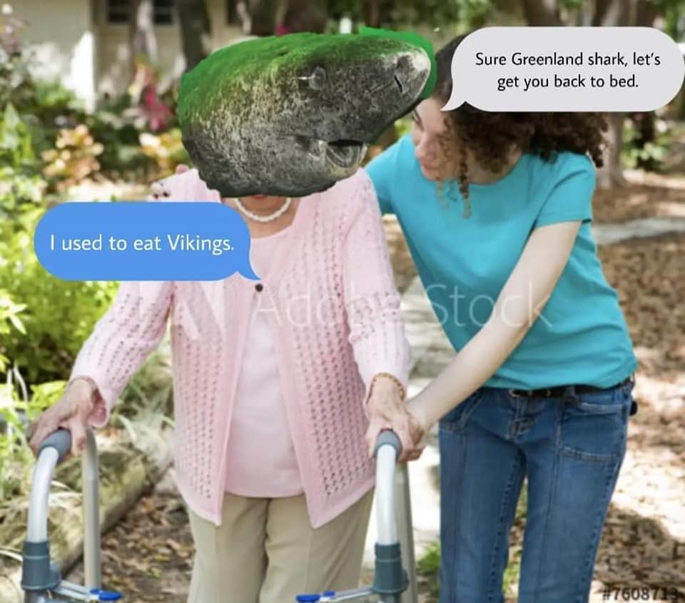 funny memes, funny images, funny pics, funny memes