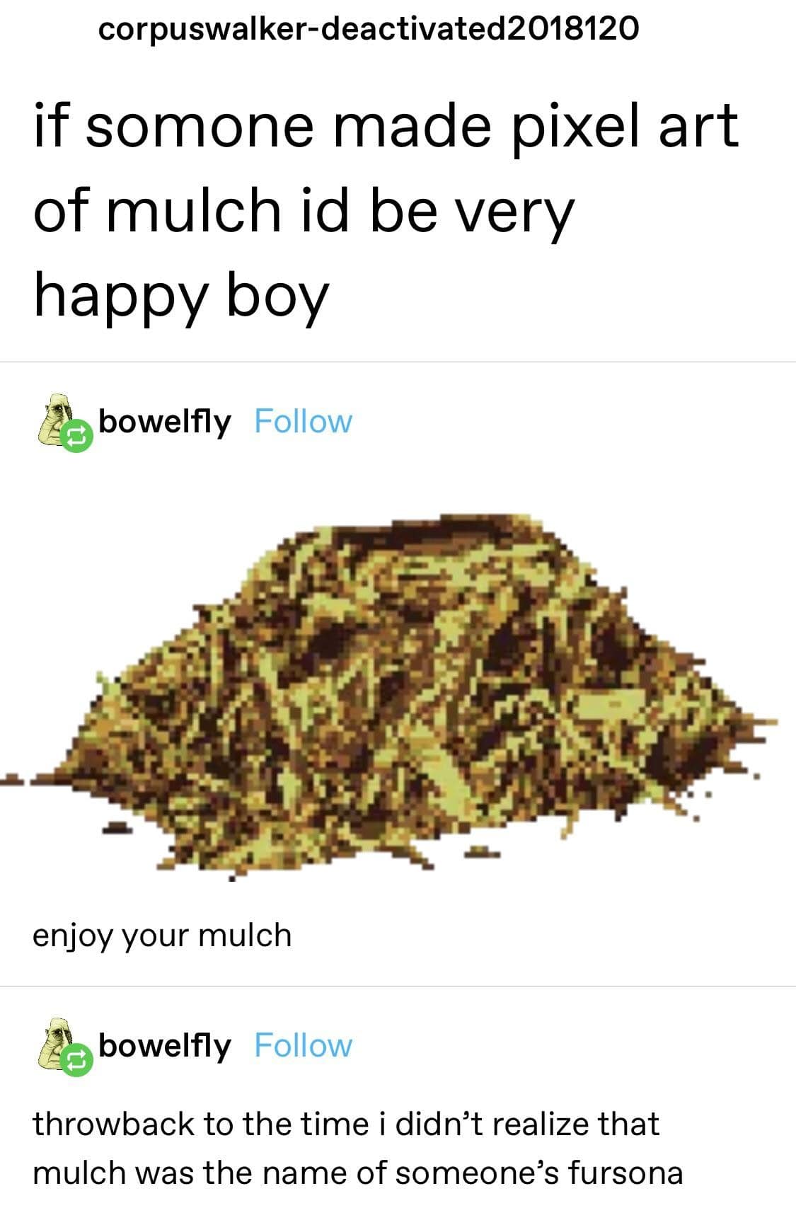 funny memes, funny images, funny pics, funniest memes