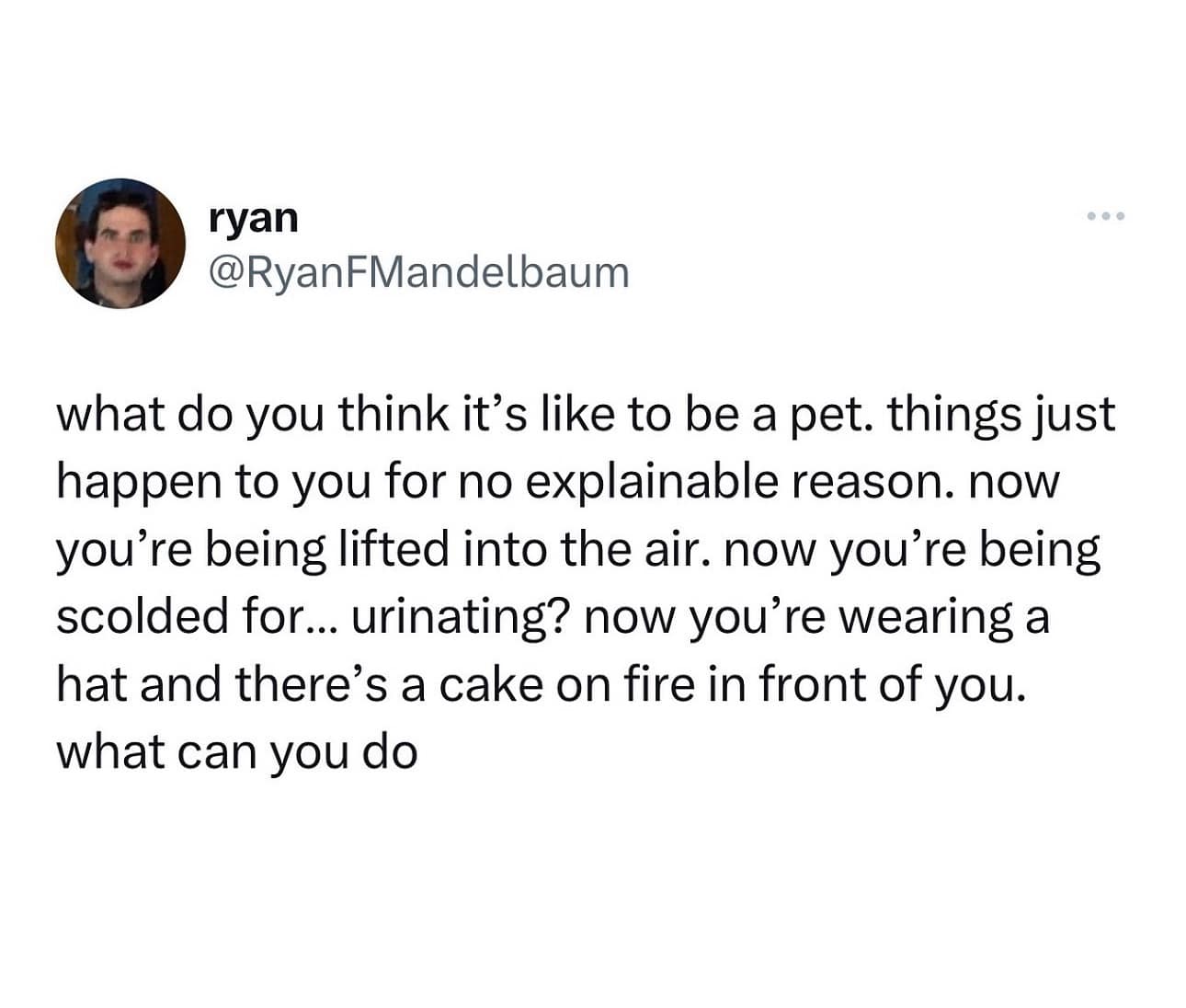 what do you think it's like to be a pet. things just happen to you for no explainable reason. now you're being lifted into the air. now you're being scolded for... urinating? now you're wearing a hat and there's a cake on fire in front of you. what can you do