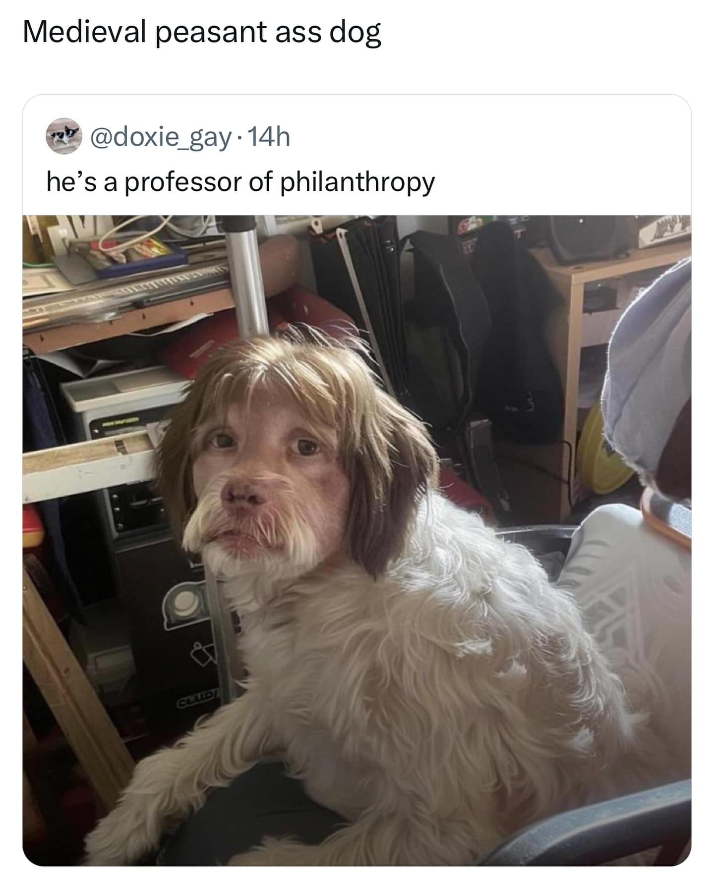 Medieval peasant ass dog