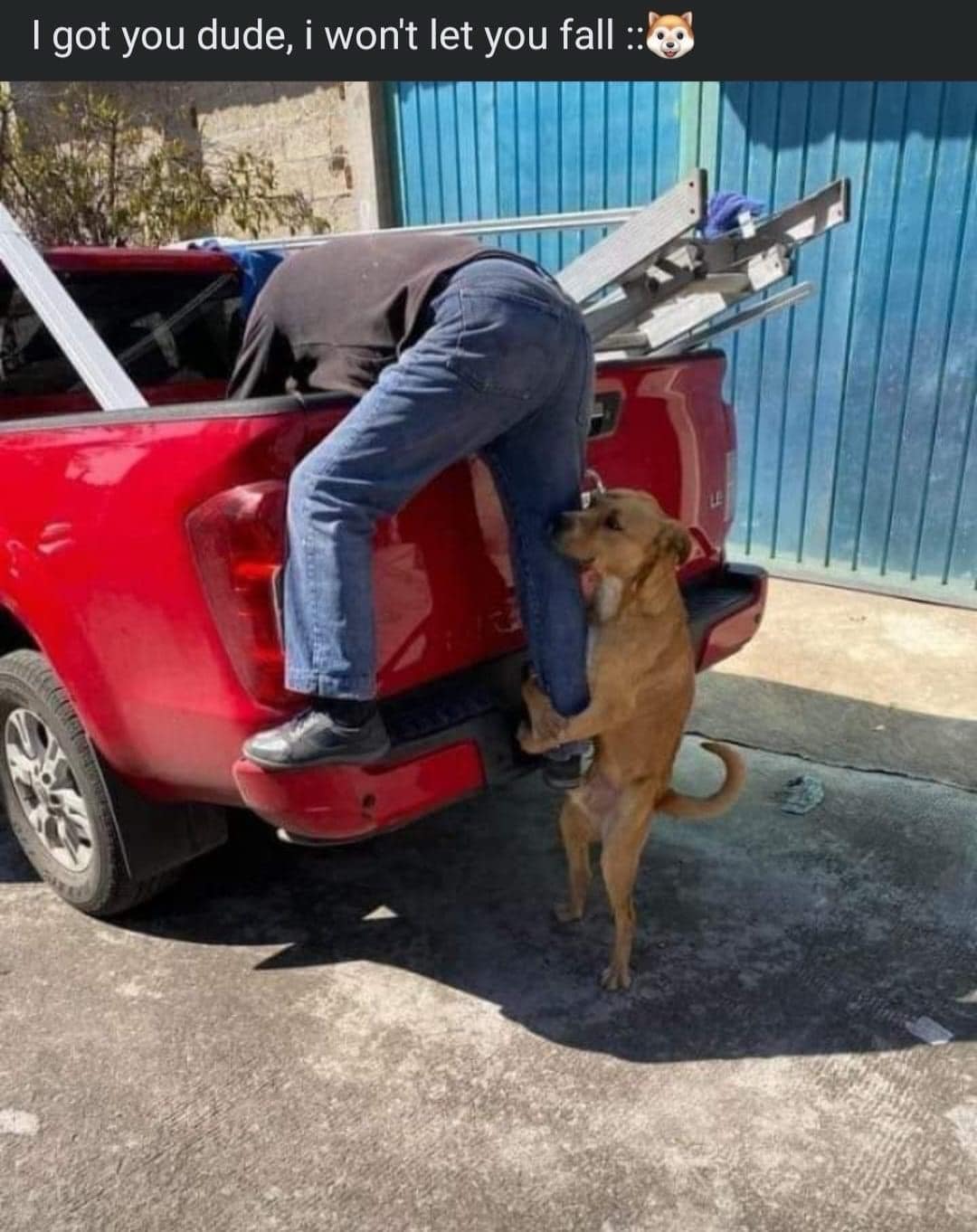 funny memes, funny images, funny pics, funny memes