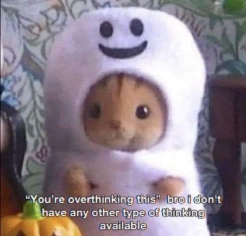 funny memes. "You're overthinking this" bro i don't have any other type of thinking available