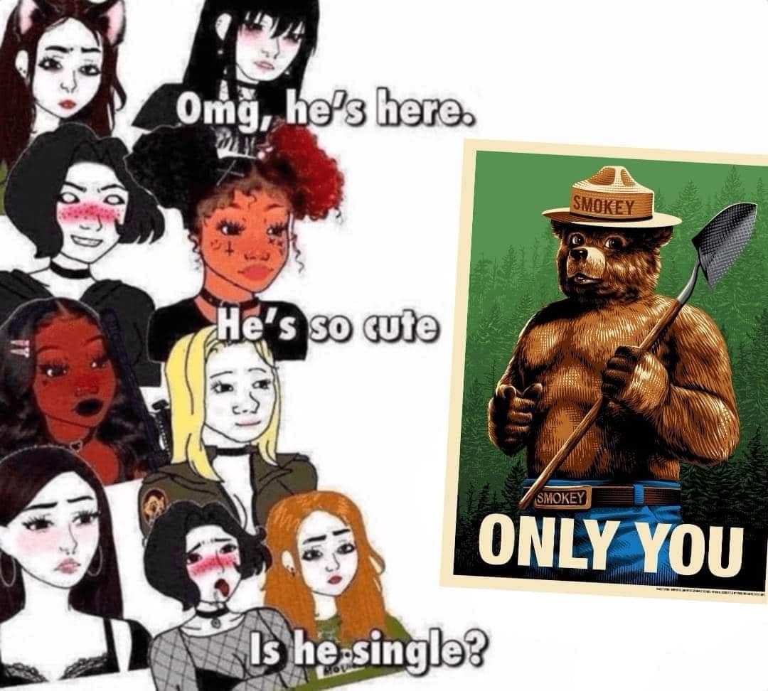 funny memes. Omg, he's here. SMOKEY He's so cute SMOKEY ONLY YOU Is he-single?