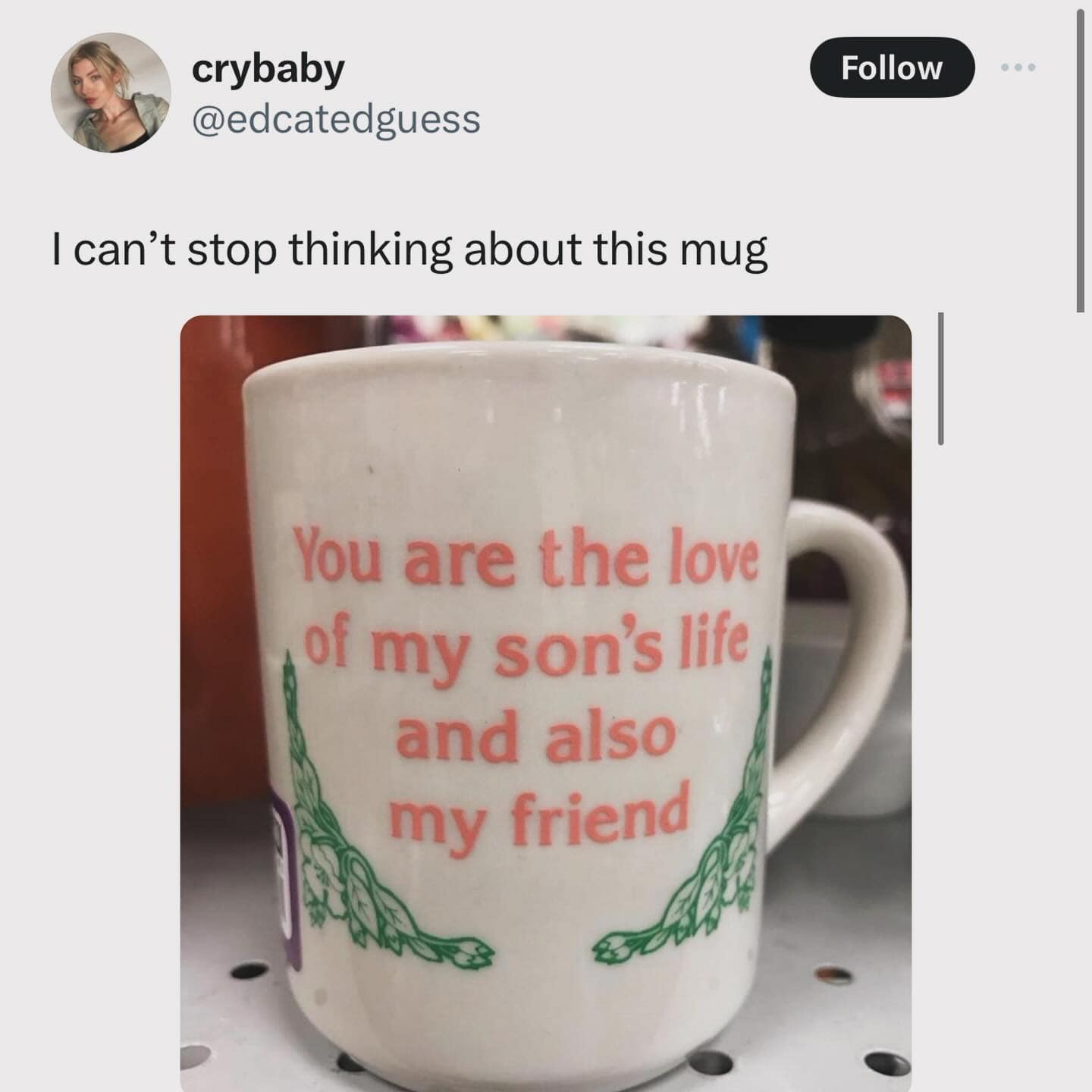 funny memes. I can't stop thinking about this mug Follow You are the love of my son's life and also my friend