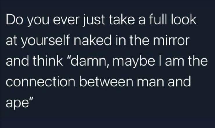 funny memes. Do you ever just take a full look at yourself naked in the mirror and think "damn, maybe I am the connection between man and ape"