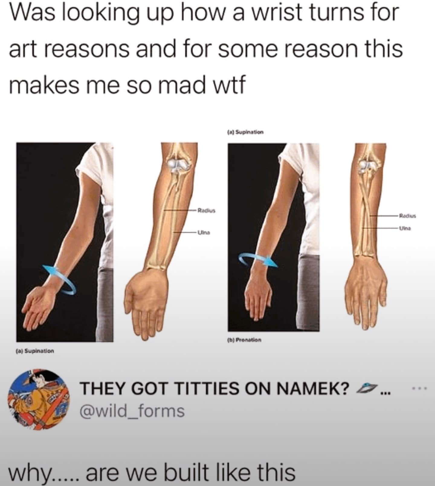 funny memes. Was looking up how a wrist turns for art reasons and for some reason this makes me so