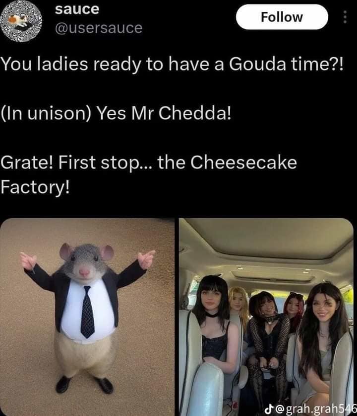 funny memes, funny images, funny pics, funniest memes