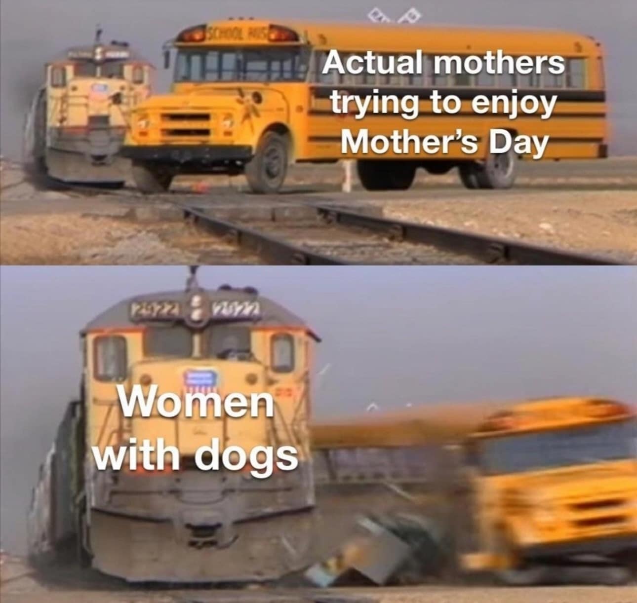 funny memes. Actual mothers trying to enjoy Mother's Day Pu22 Women with dogs