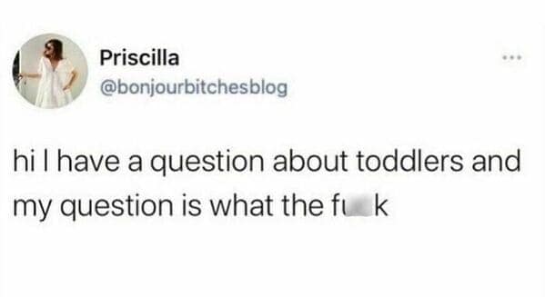 funny mom memes. hi I have a question about toddlers and my question is what the