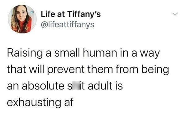 funny mom memes. Raising a small human in a way that will prevent them from being an absolutes it adult is exhausting